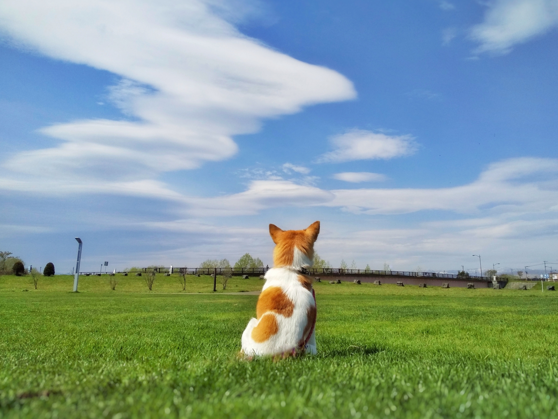 今週のオラクル（6月14日～6月20日）