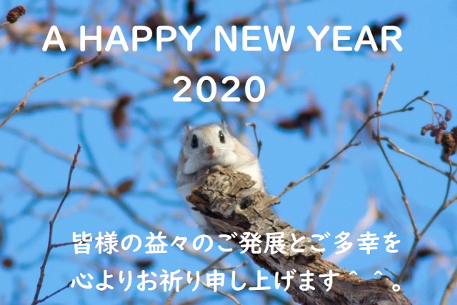 新年あけましておめでとうございます＾＾。