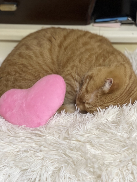 セレスタインヒーリングショップの運営についてお知らせm(__)m。