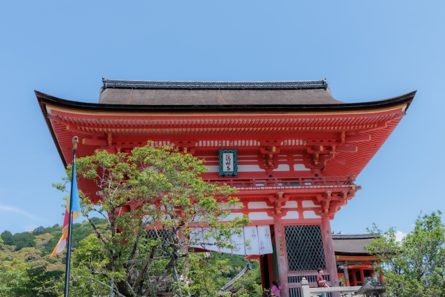 今週のオラクル(8月11日~8月17日)