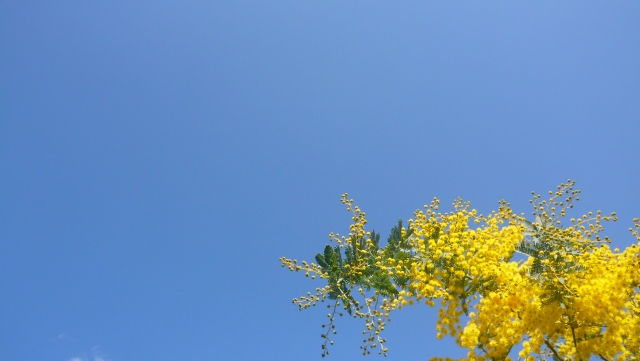 今週のオラクル(8月25日~8月31日)