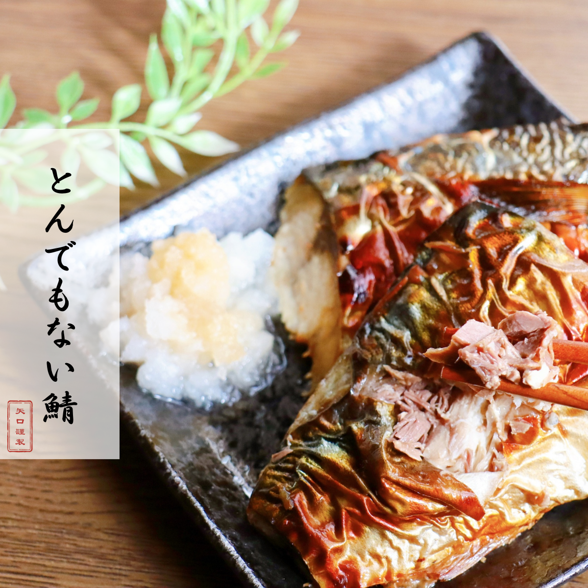 ノルウェー産と国産サバの違いをプロが解説！干物とみりん干し、どっちが正解？