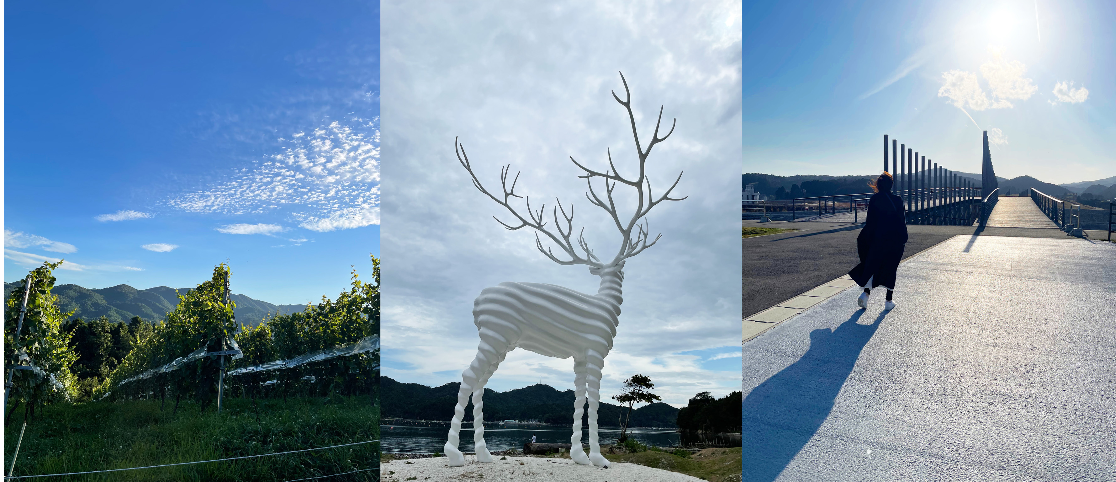 "AO." - 藍で結ぶ、希望の輪 -