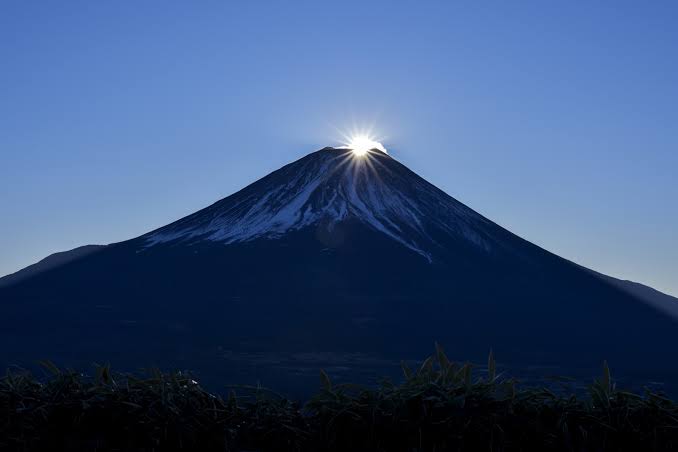 自分が目指しているものだけは…。