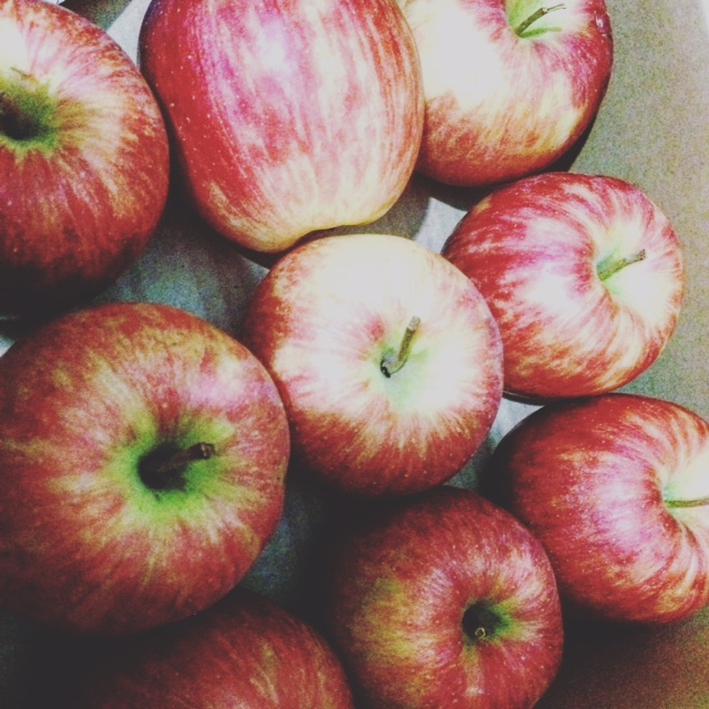 りんごが入荷！　アップルパイの季節になりました♪