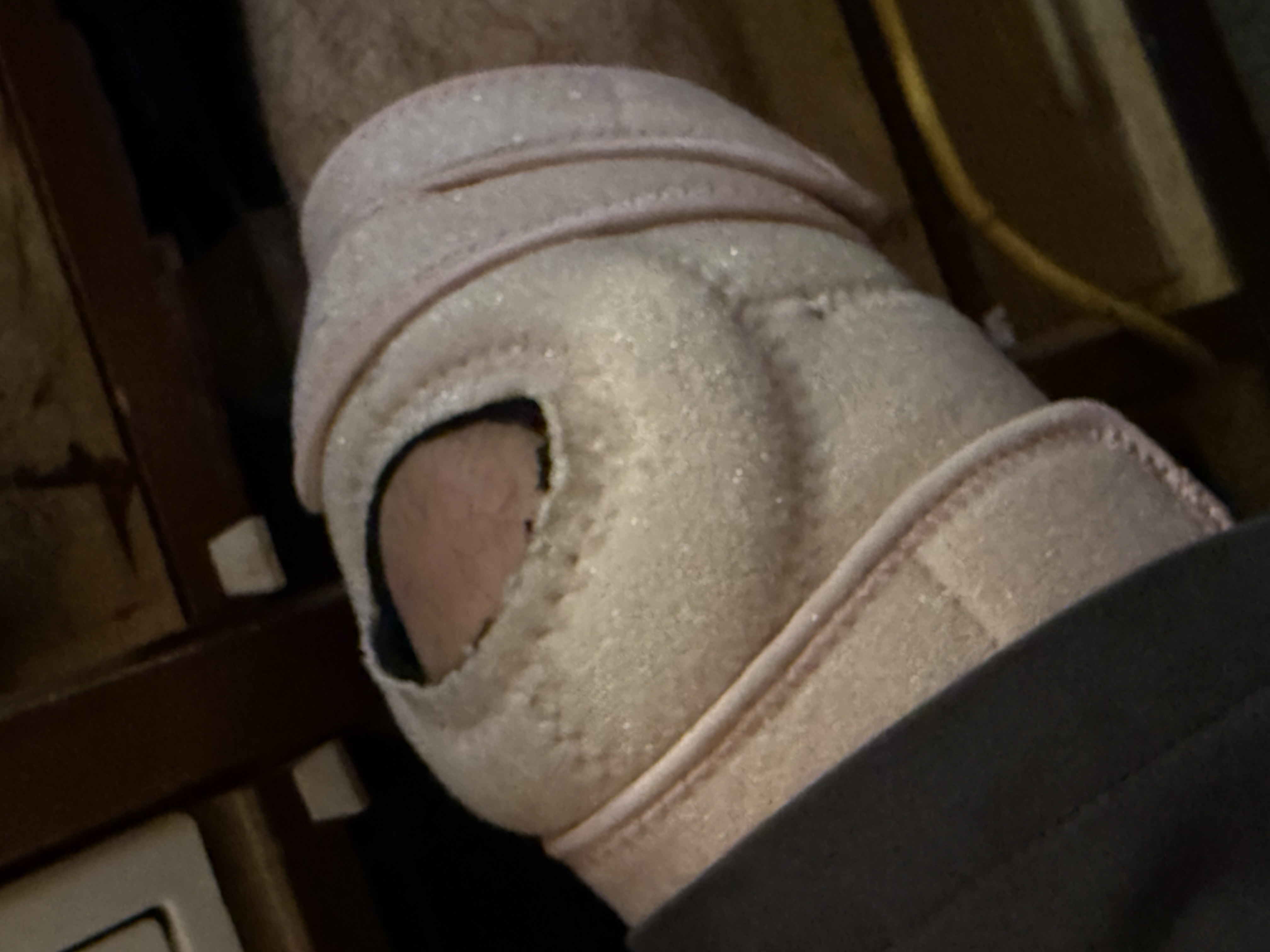 今年の冬・・・