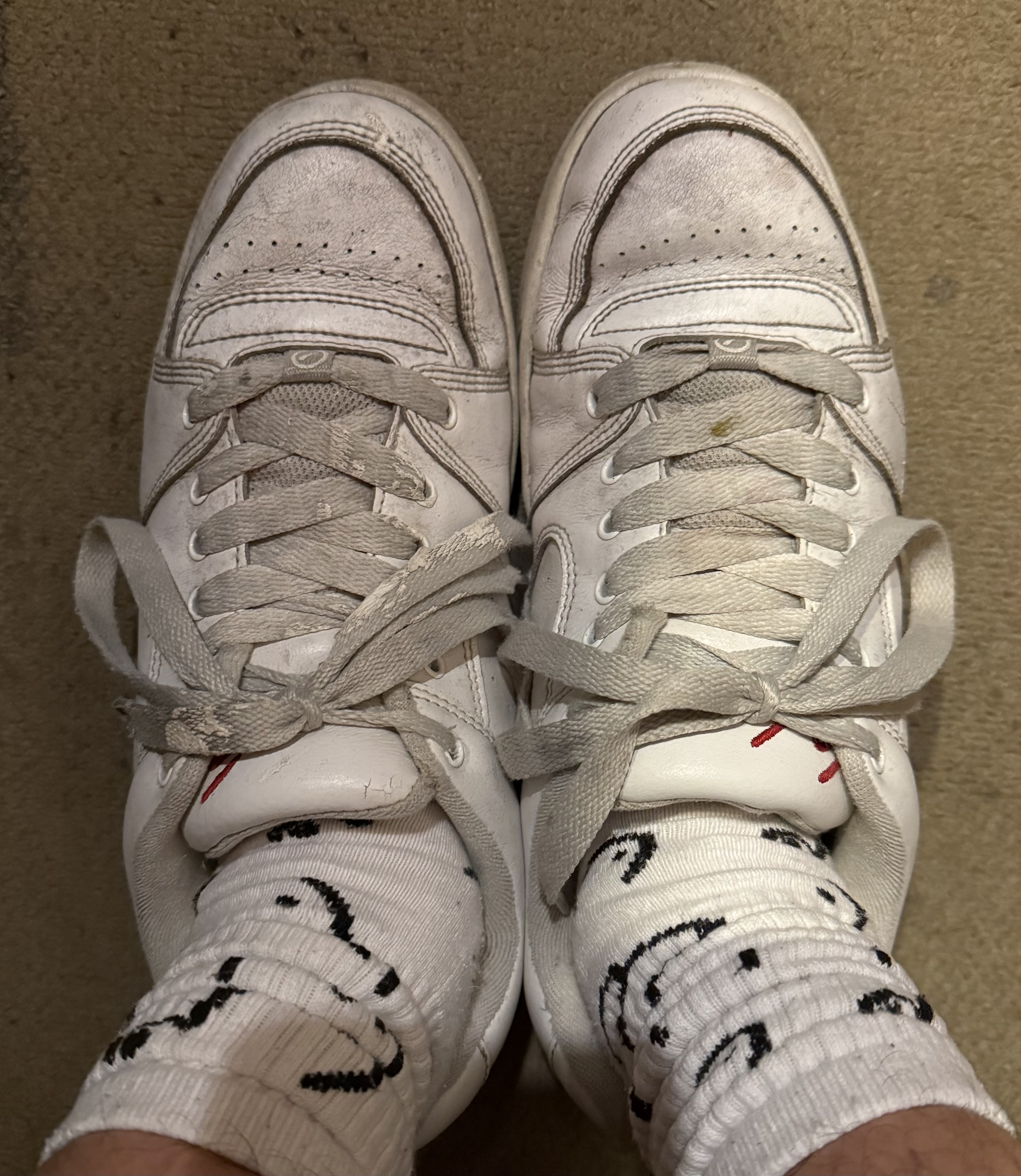 一日中雨・・・