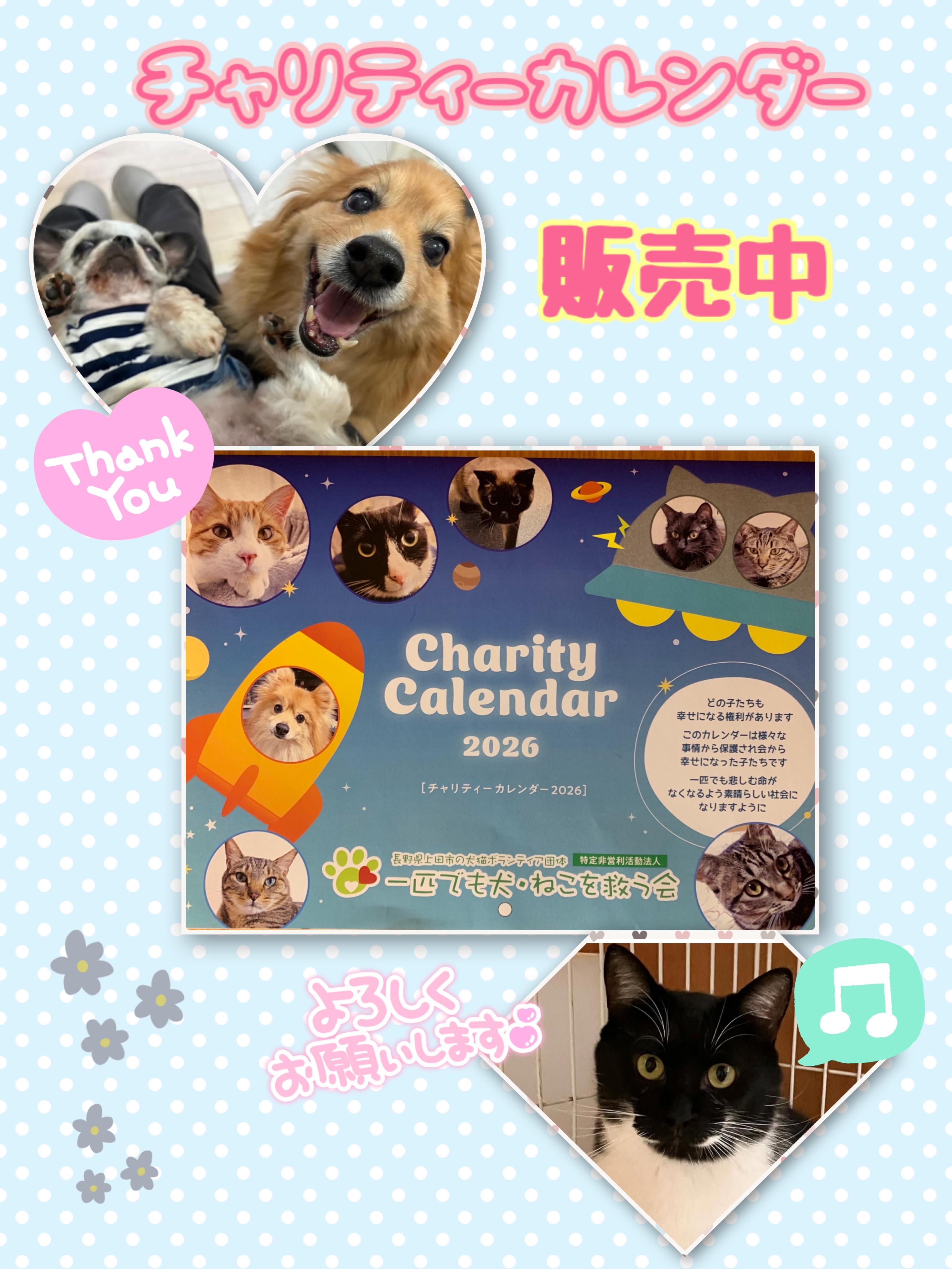 BASE 15%OFFキャンペーン⭐︎