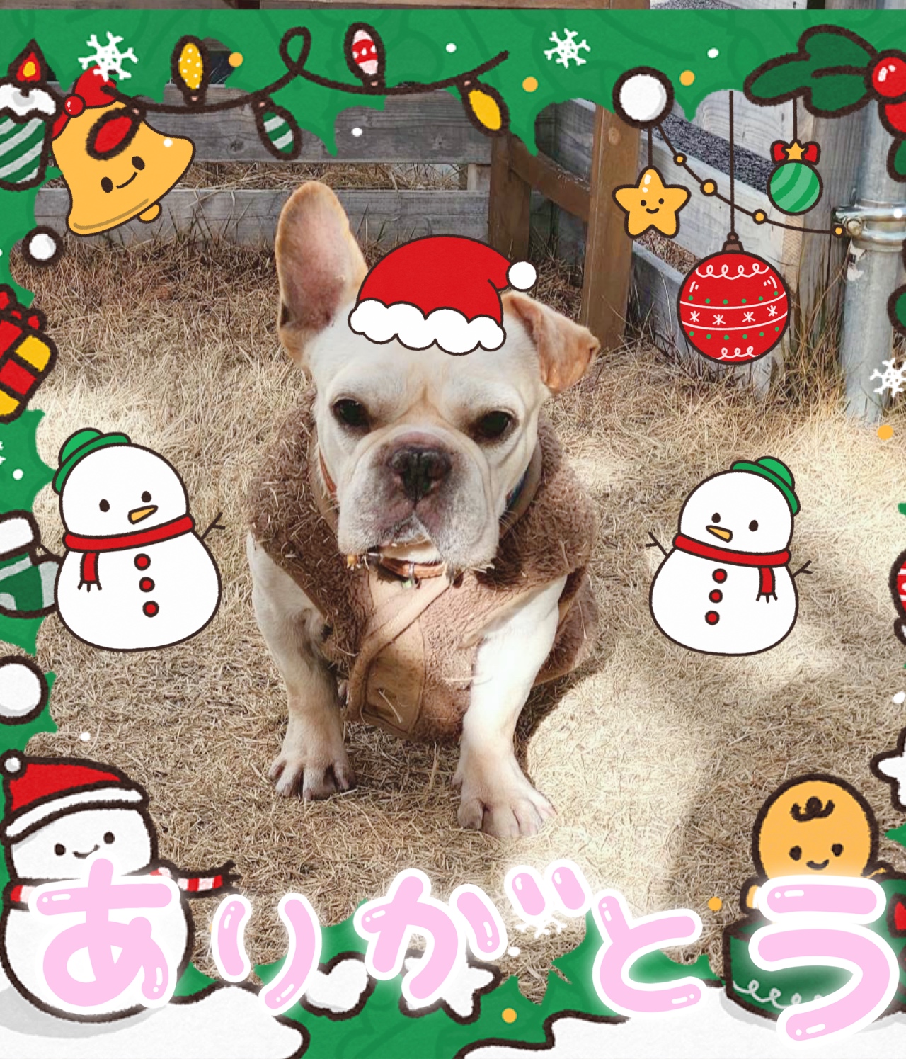 年末年始の発送のご案内