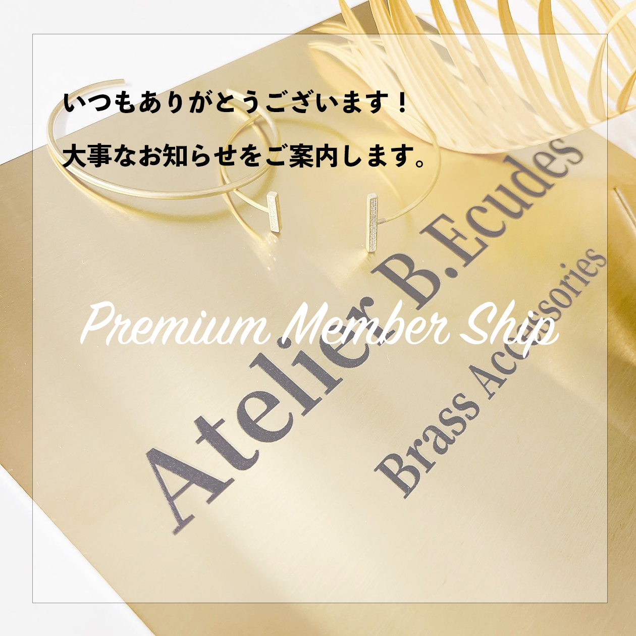 メンバーシップのご案内です