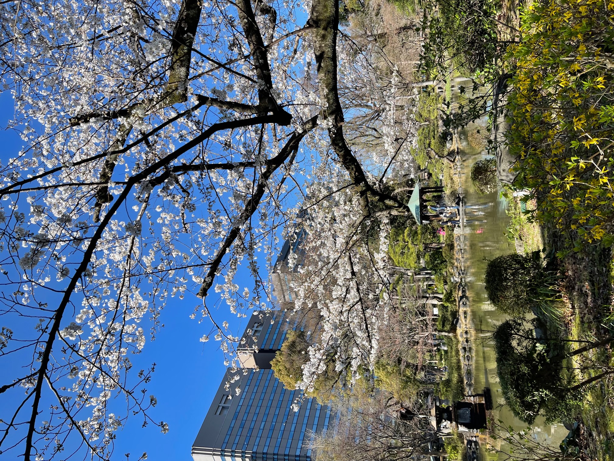 春の始まり^^