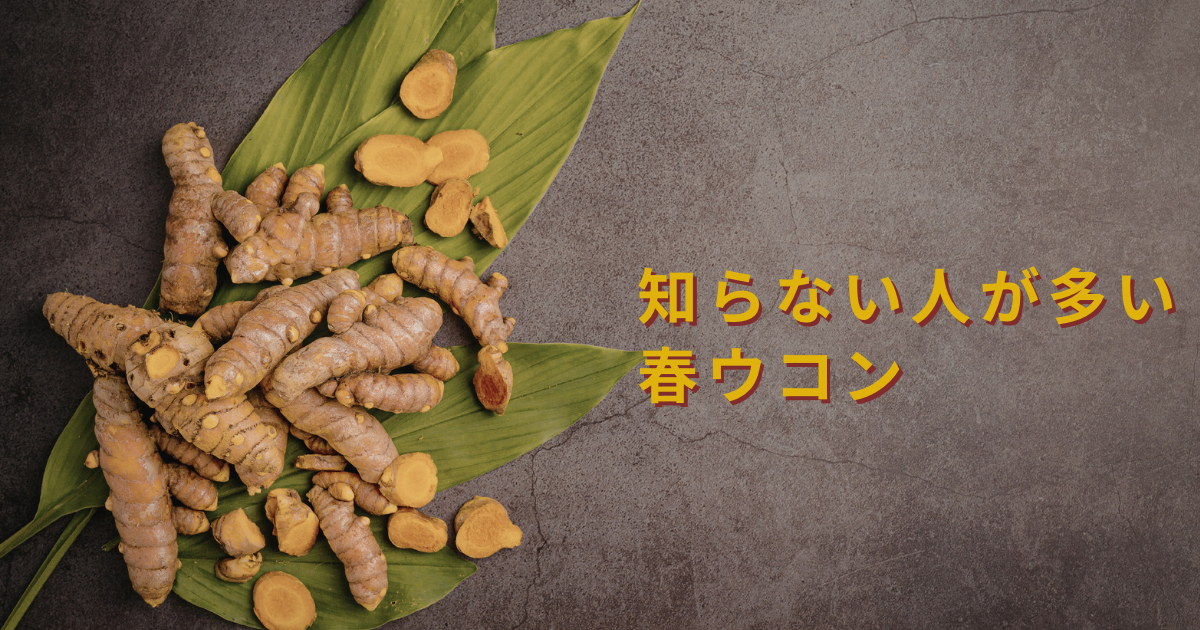 知らない人が多い「春ウコン」とは?