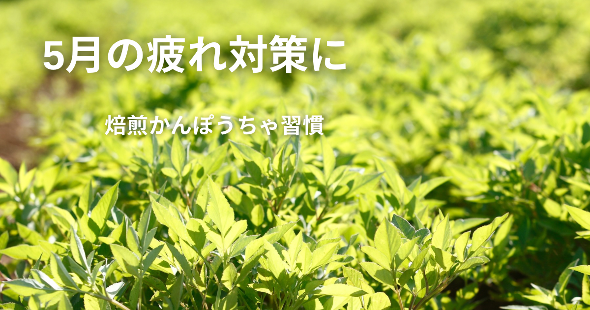 5月になると疲れる人へ。その原因と今すぐできる対策