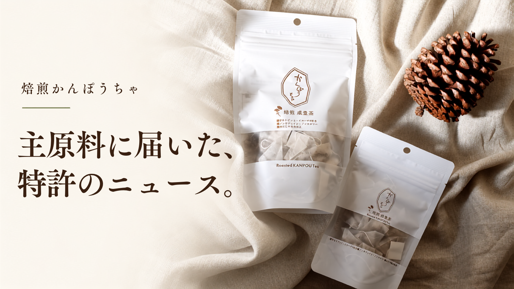 焙煎かんぽうちゃ主原料に、特許のニュース。宮古ビデンス・ピローサのおはなし