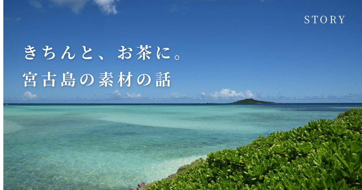 身近な植物を、きちんとお茶にするということ。 ー 宮古島の素材と手仕事の話