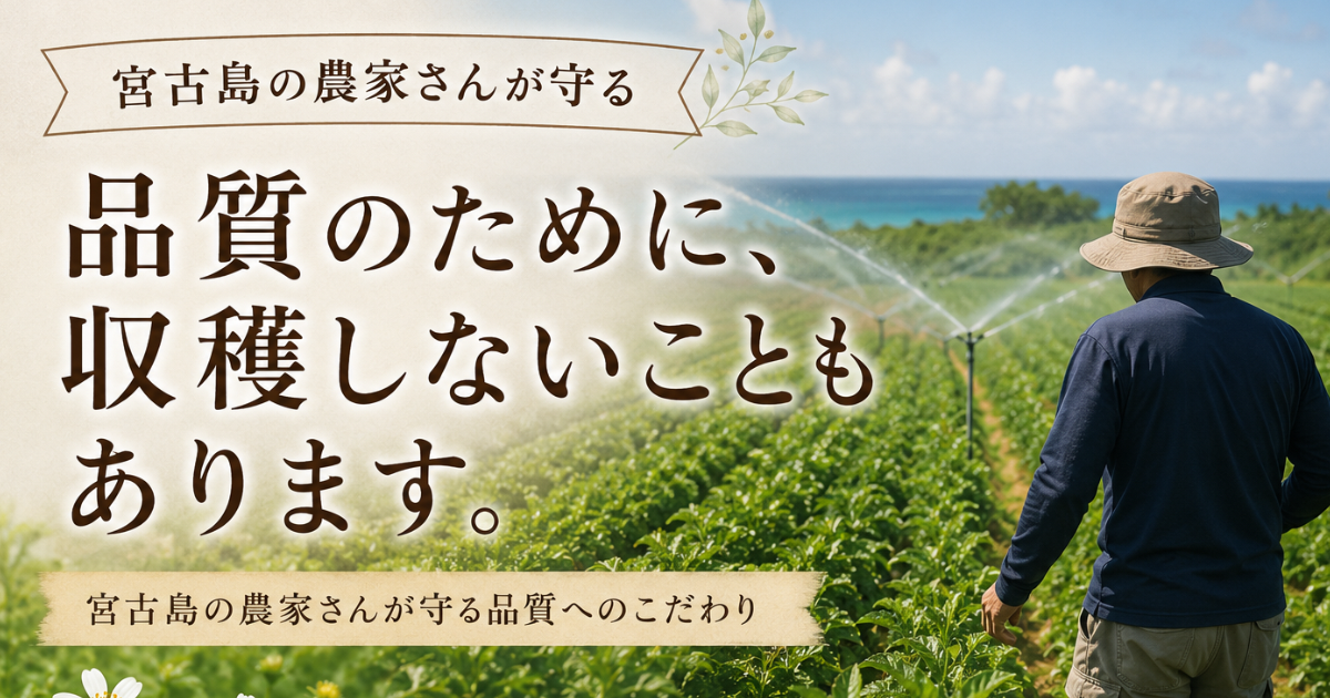 品質のために収穫しないこともあります
