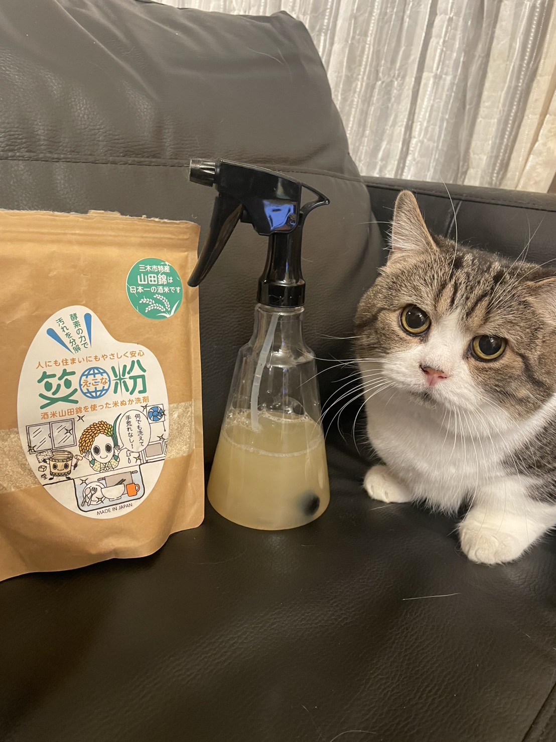 ブリーダーさんが驚いた！