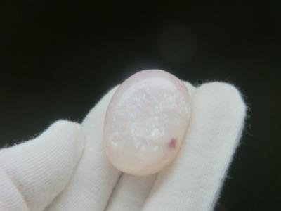 お客様ご感想☆素晴らしい子と出逢えて幸せです♪