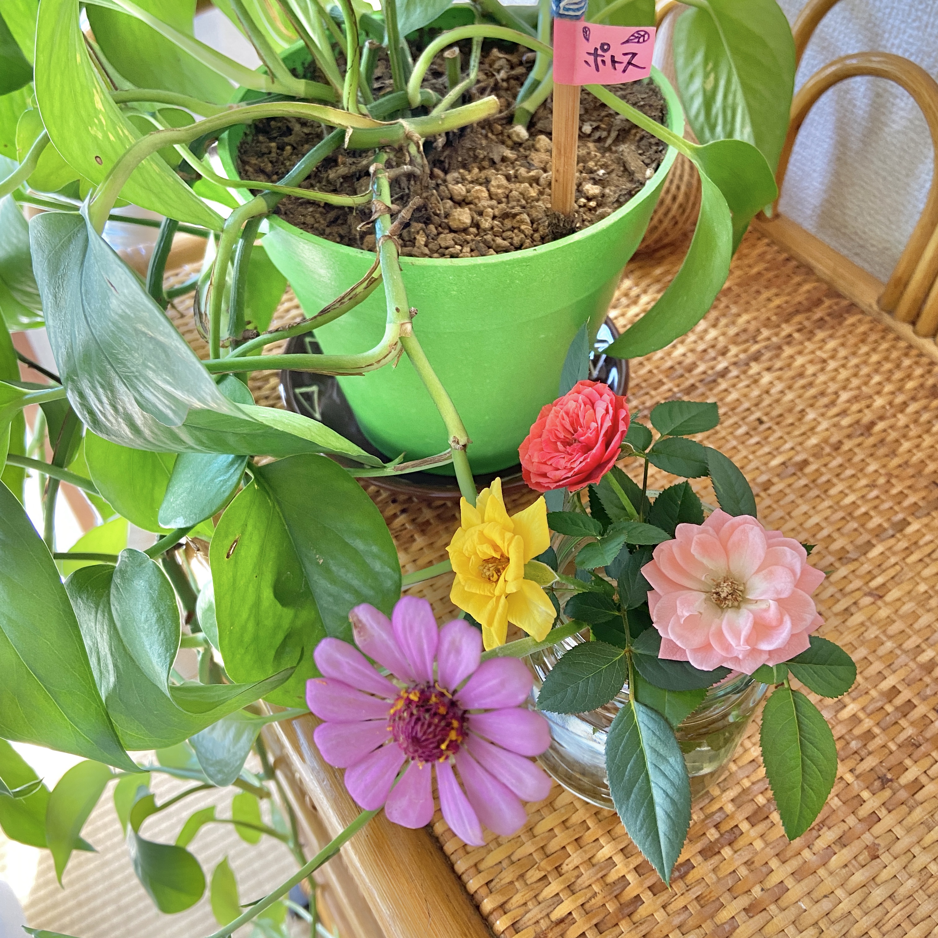 小さな幸せは転がってる