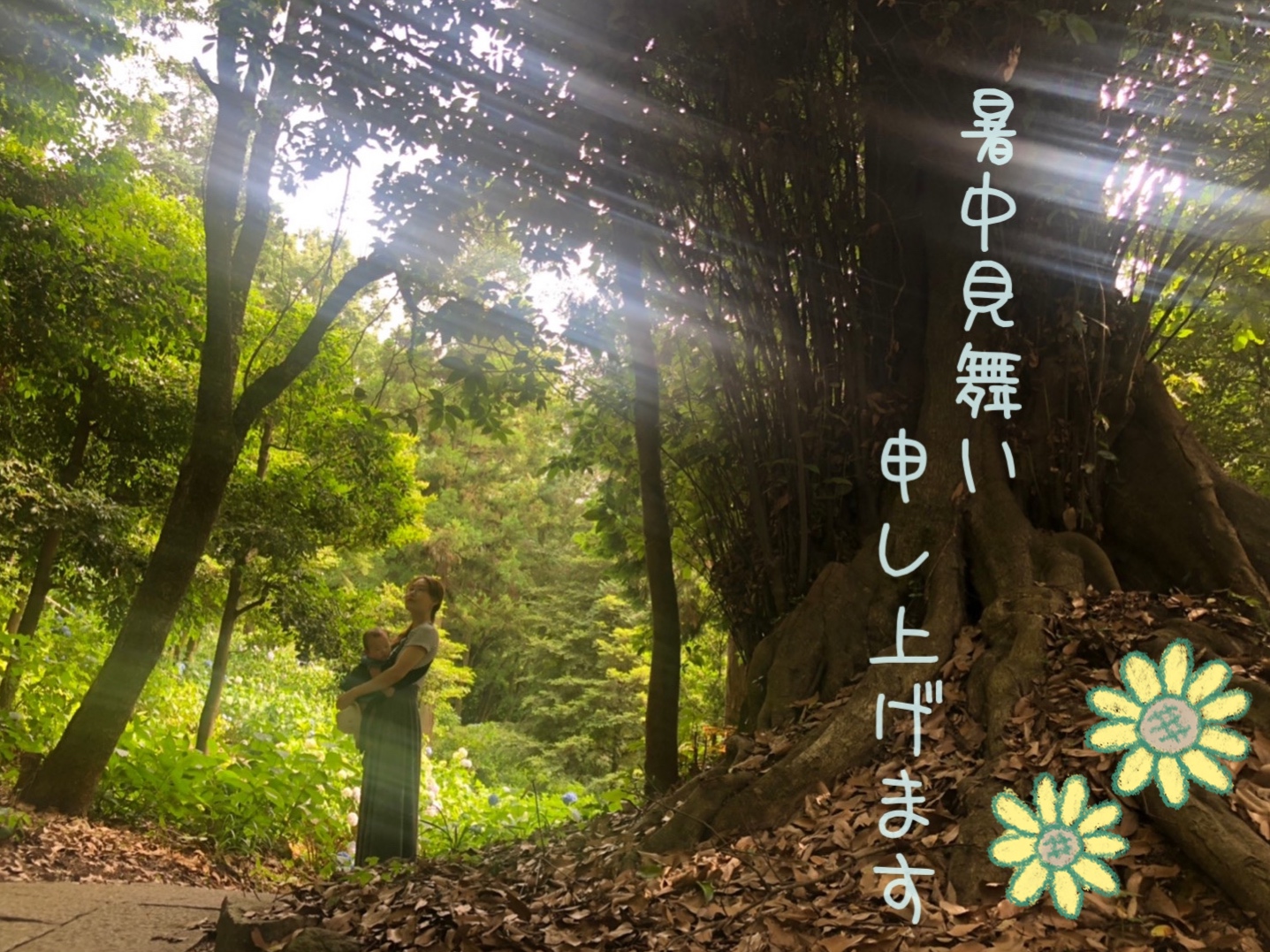暑中見舞い申し上げます