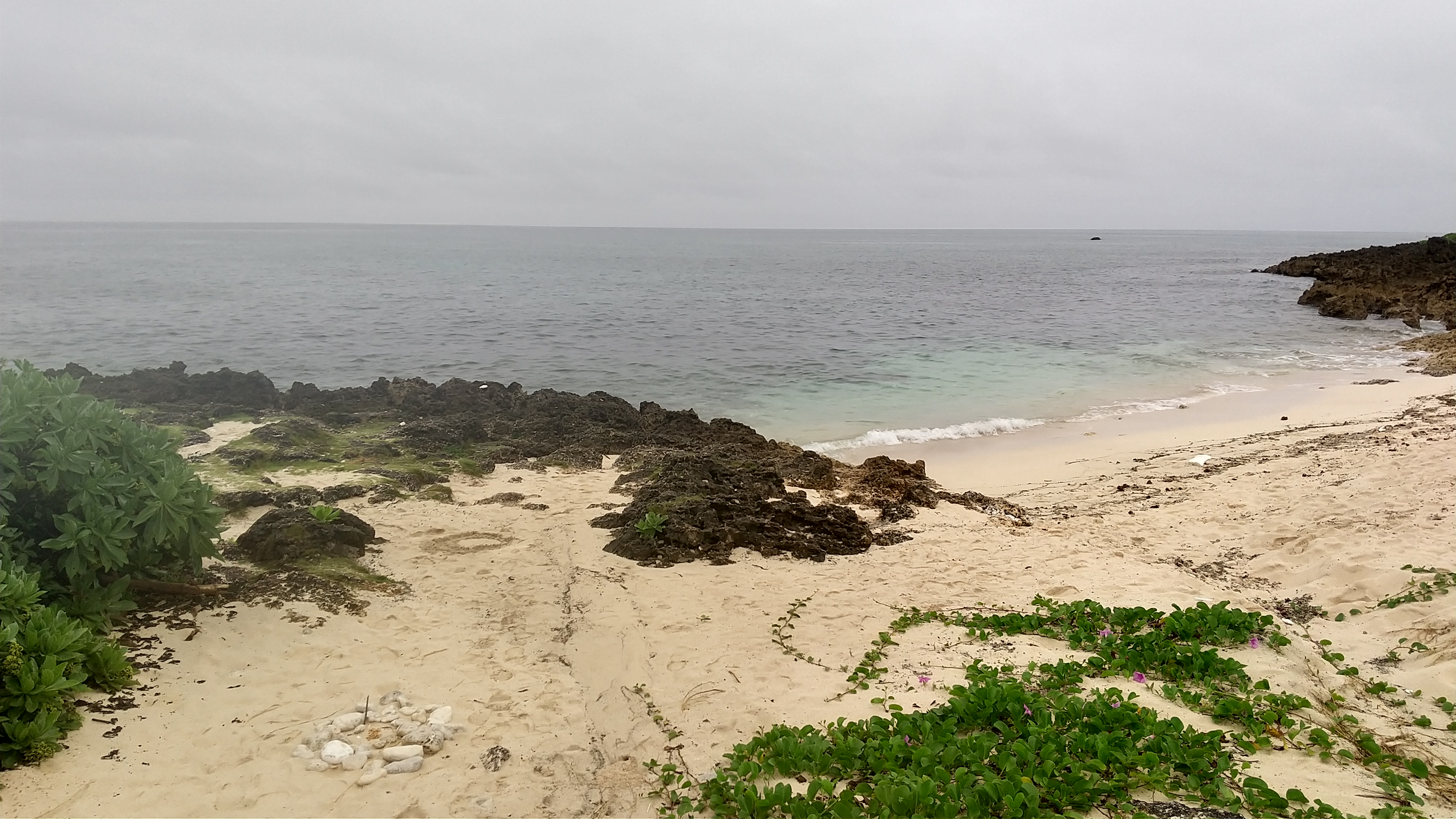 ライサポの逃避行　in　 南の島