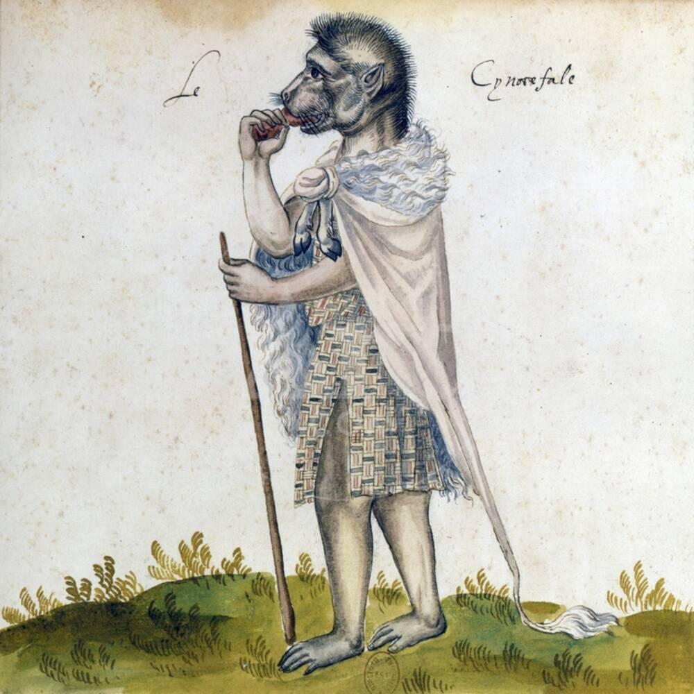 キノケファリ:犬の頭を持つ人々