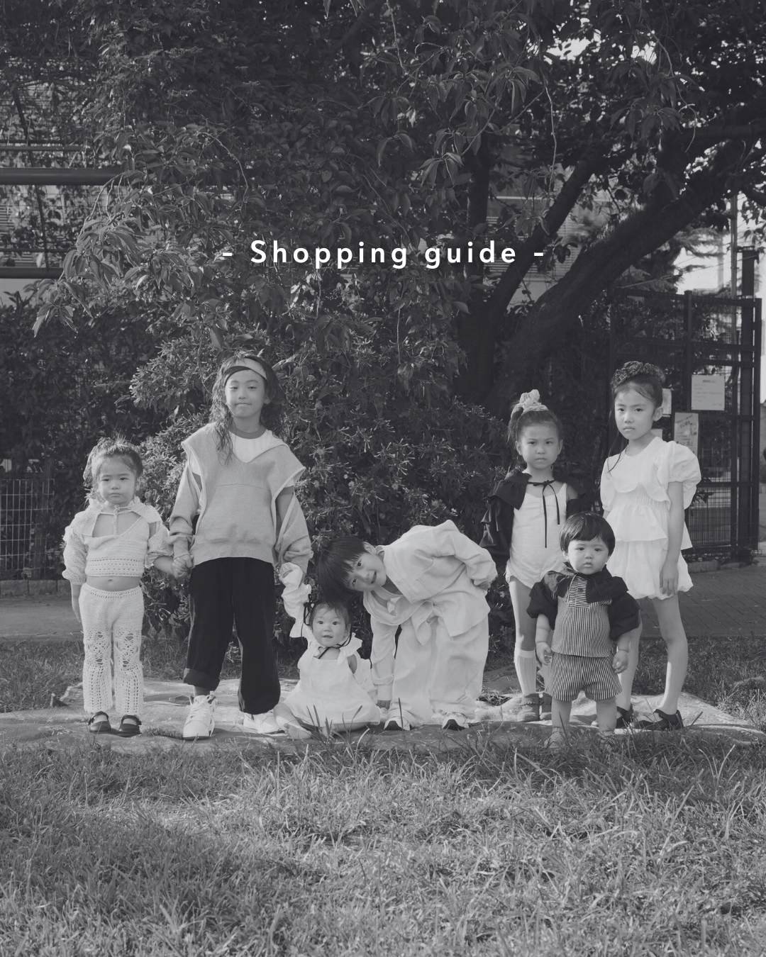 shopping guide