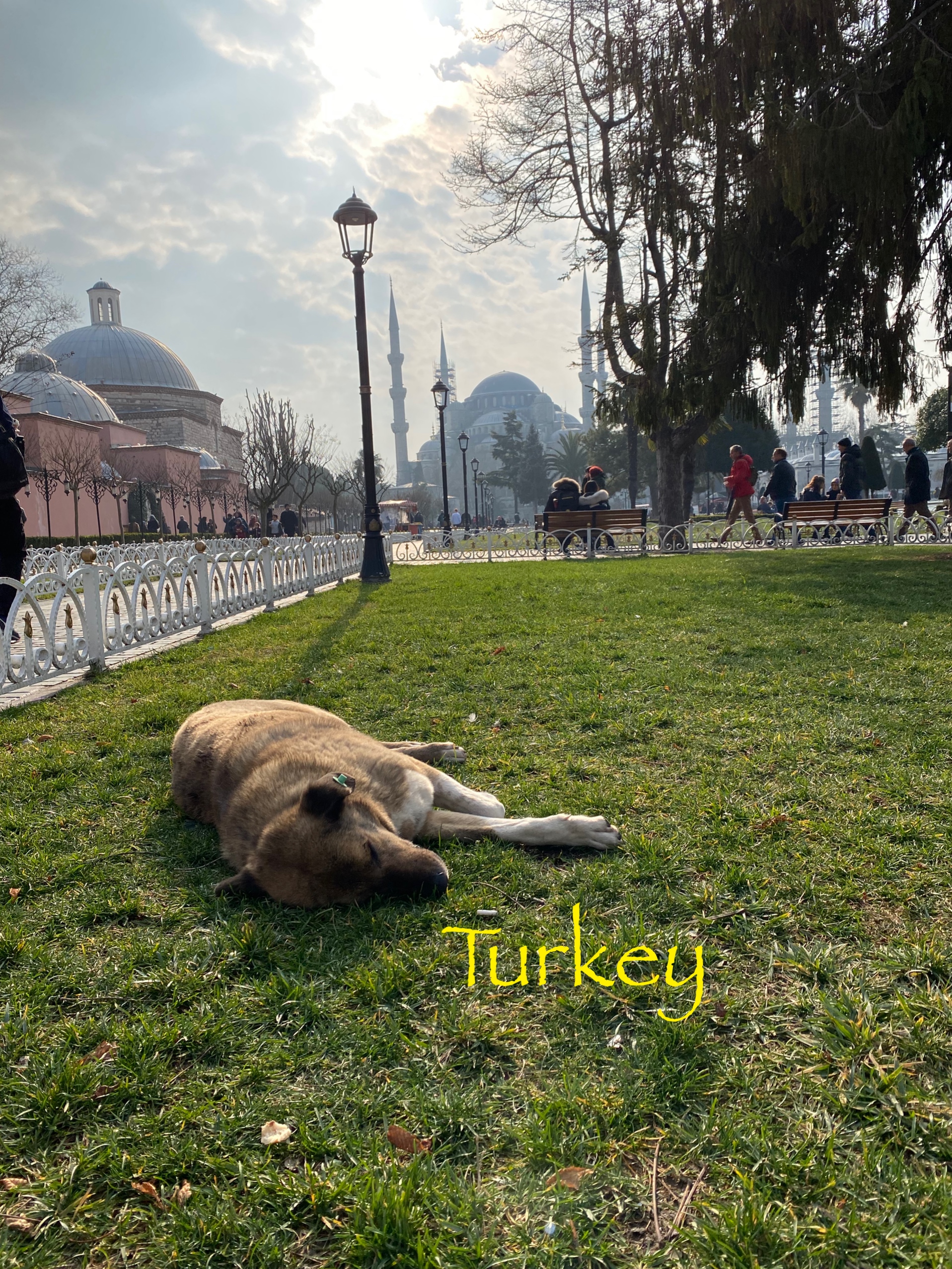 トルコ旅行　Part13