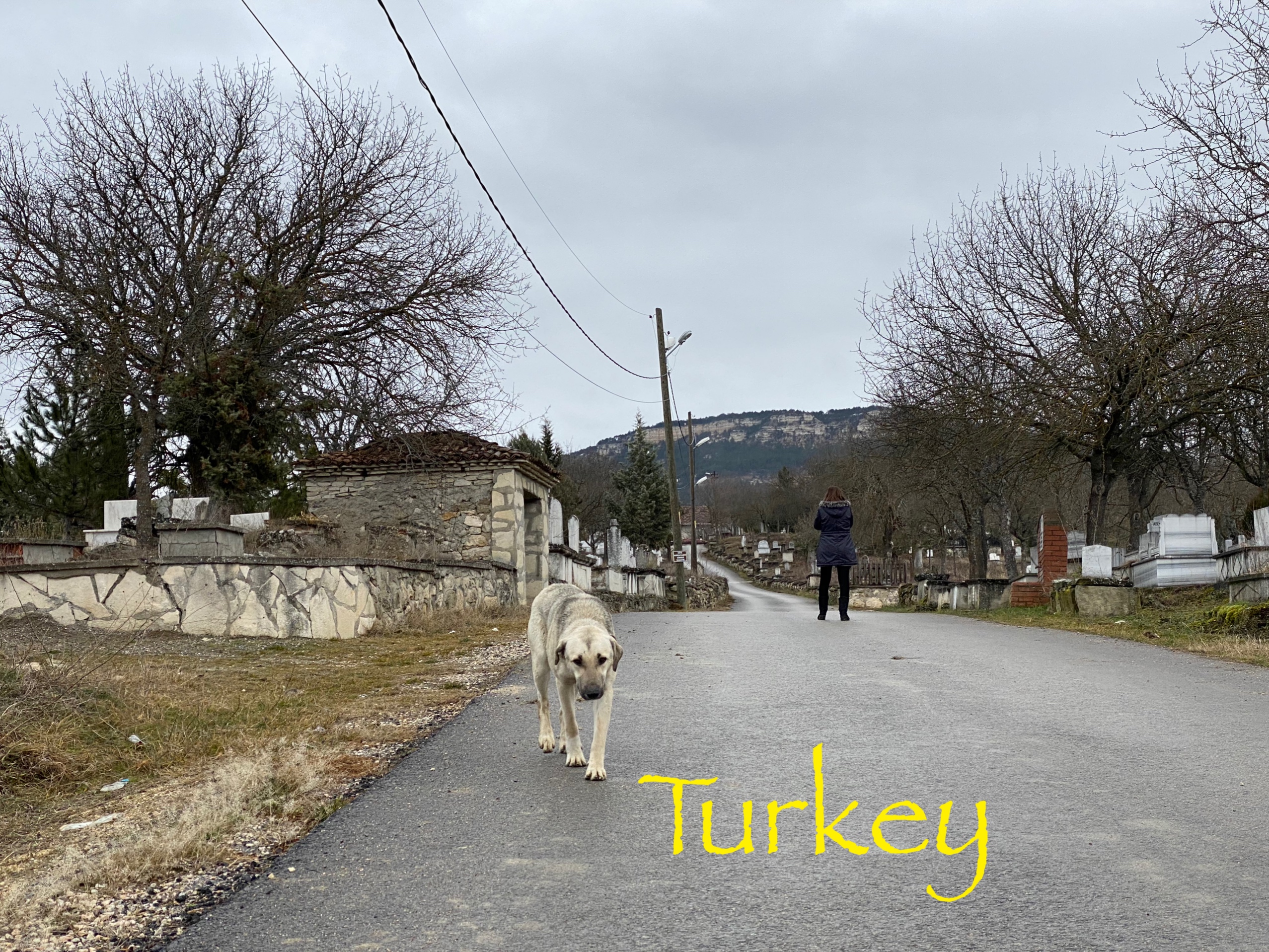 トルコ旅行　Part34