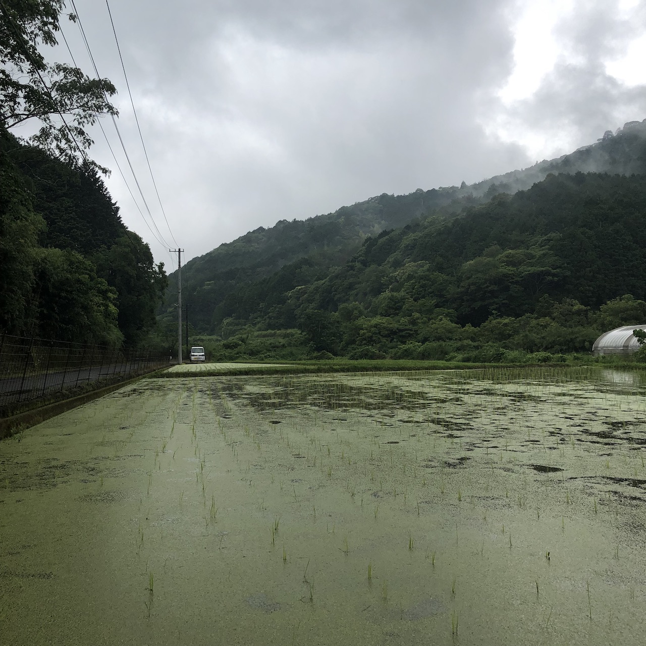 2022年　田植え終了