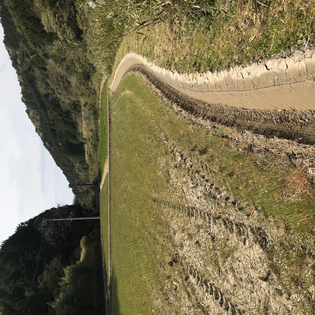 田んぼの畦塗り