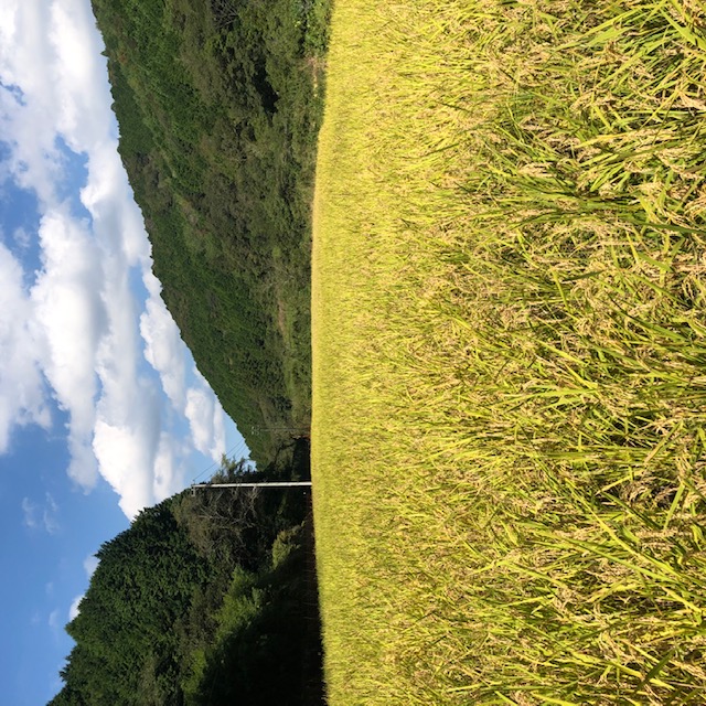 ２０２１年も終わりですが。