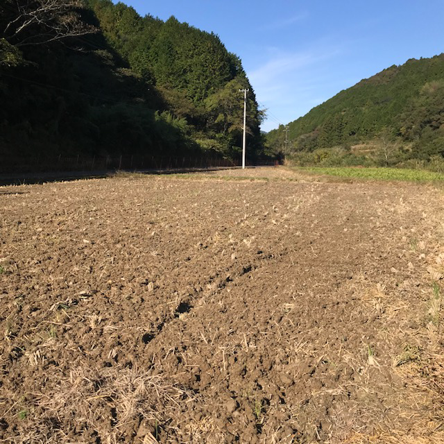 来年の米作り始まり！？