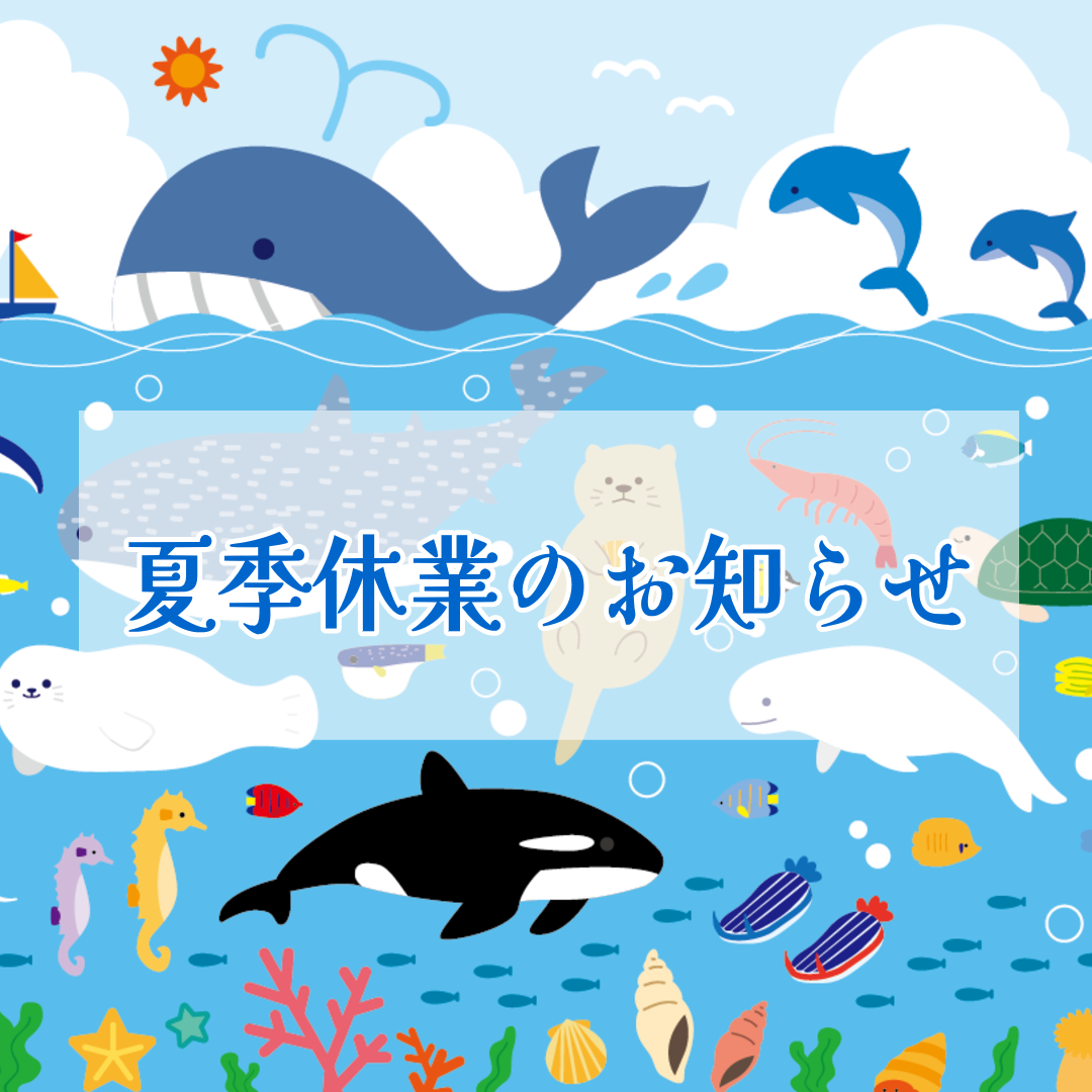 夏季休業のお知らせ