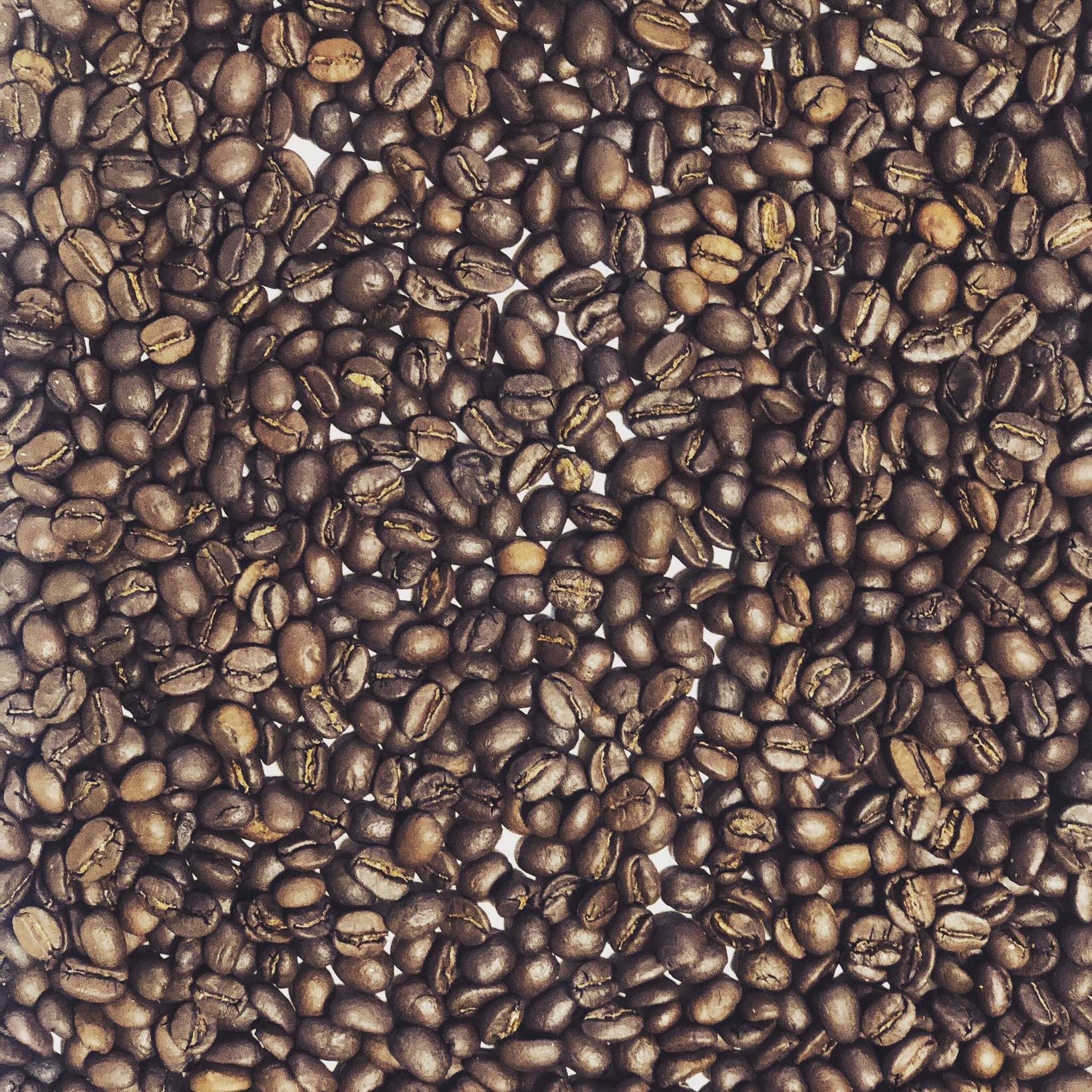 Alba coffee roasters のコーヒー豆