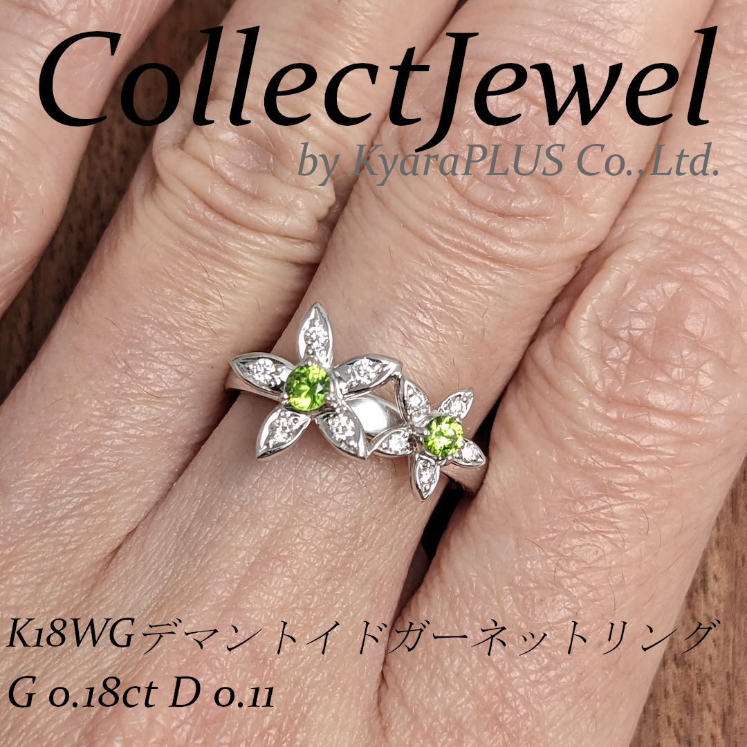 ジャスミンを思わせる可愛らしい5弁の花
