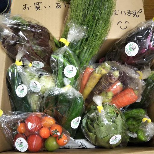 立派なお野菜が届きました！