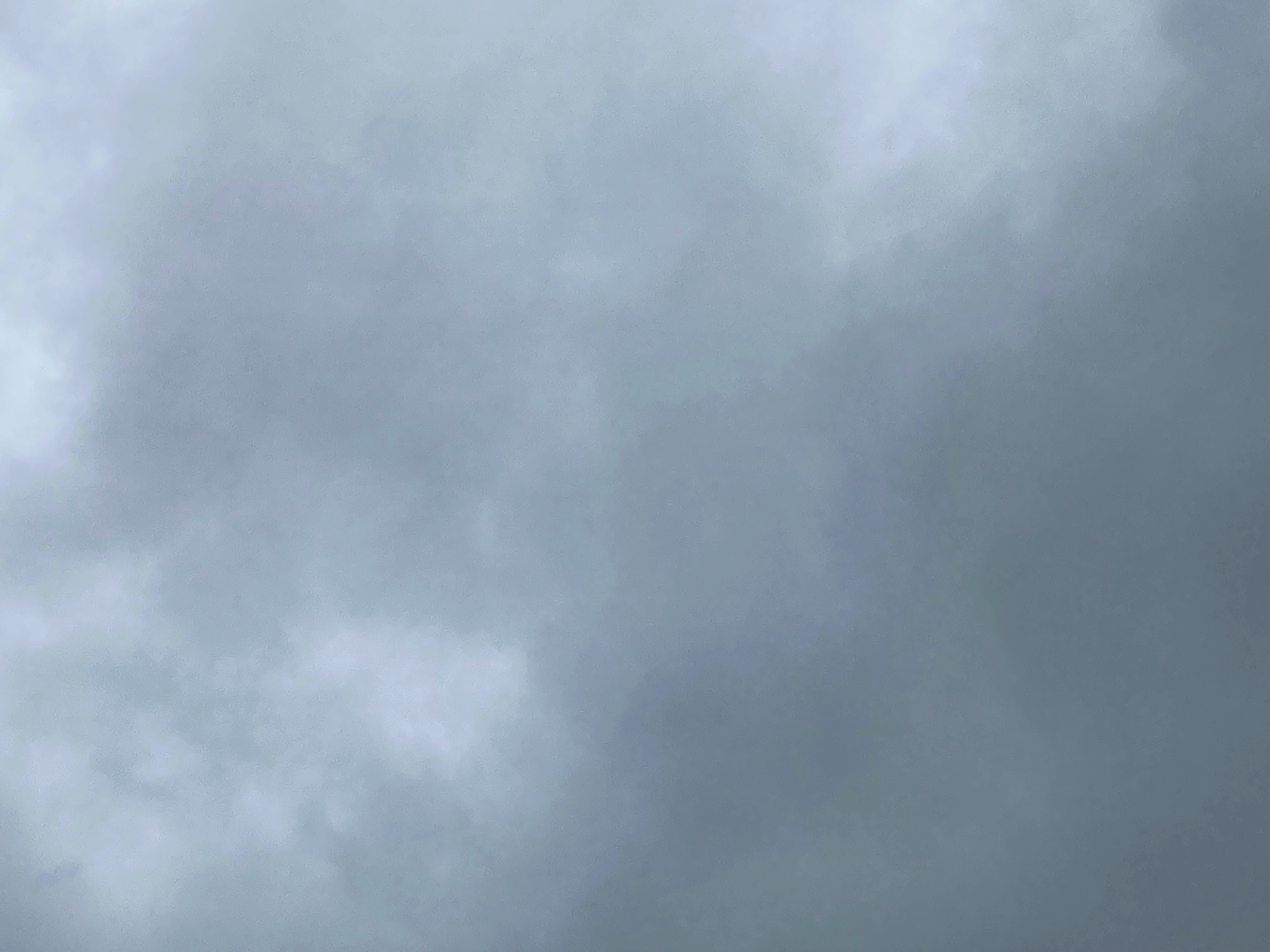 恵みの雨