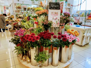 💛🧡みわ店🧡💛菊フェア開催中です🤗👏🏻