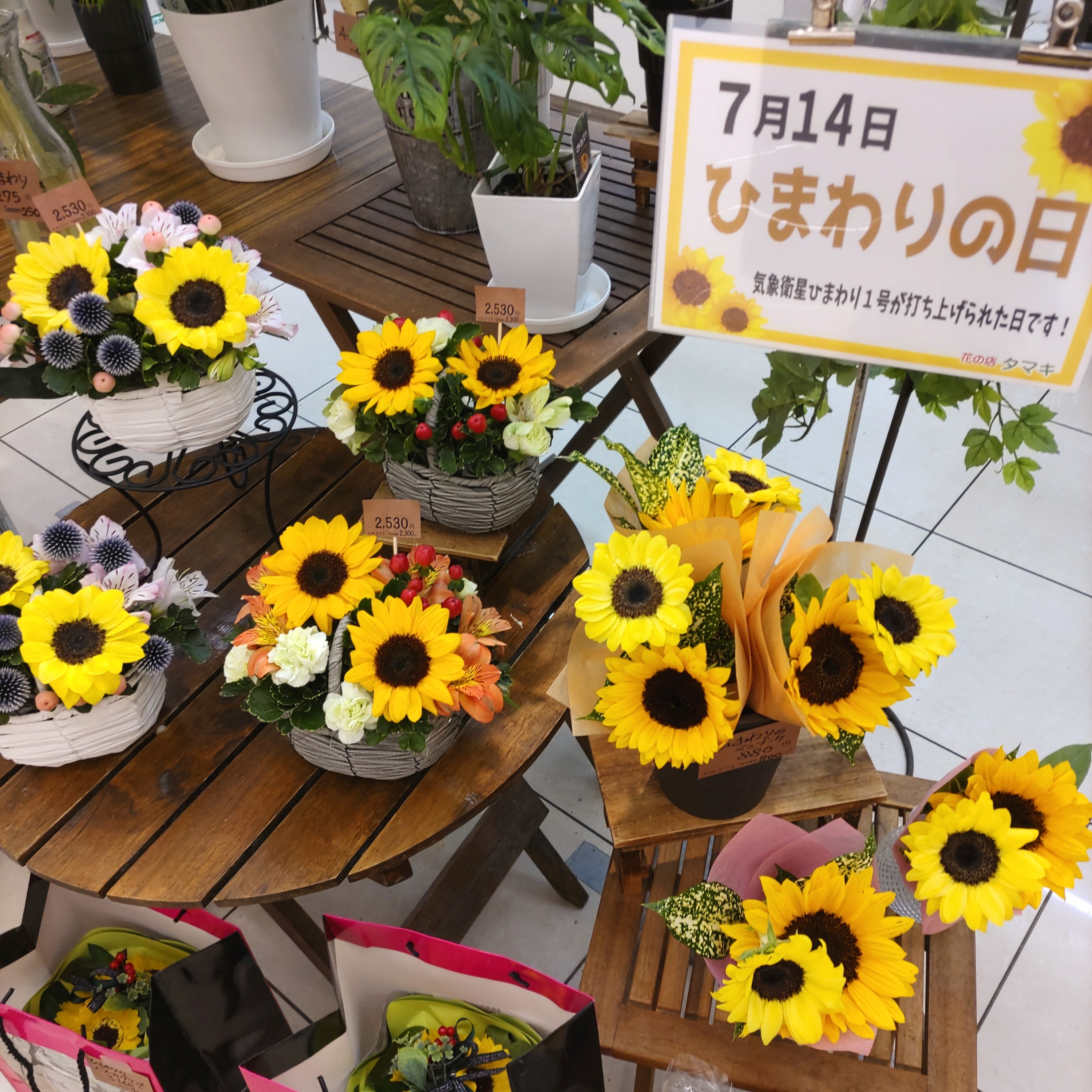 ひまわりの日🌻花の店タマキコープみわ店です🌸