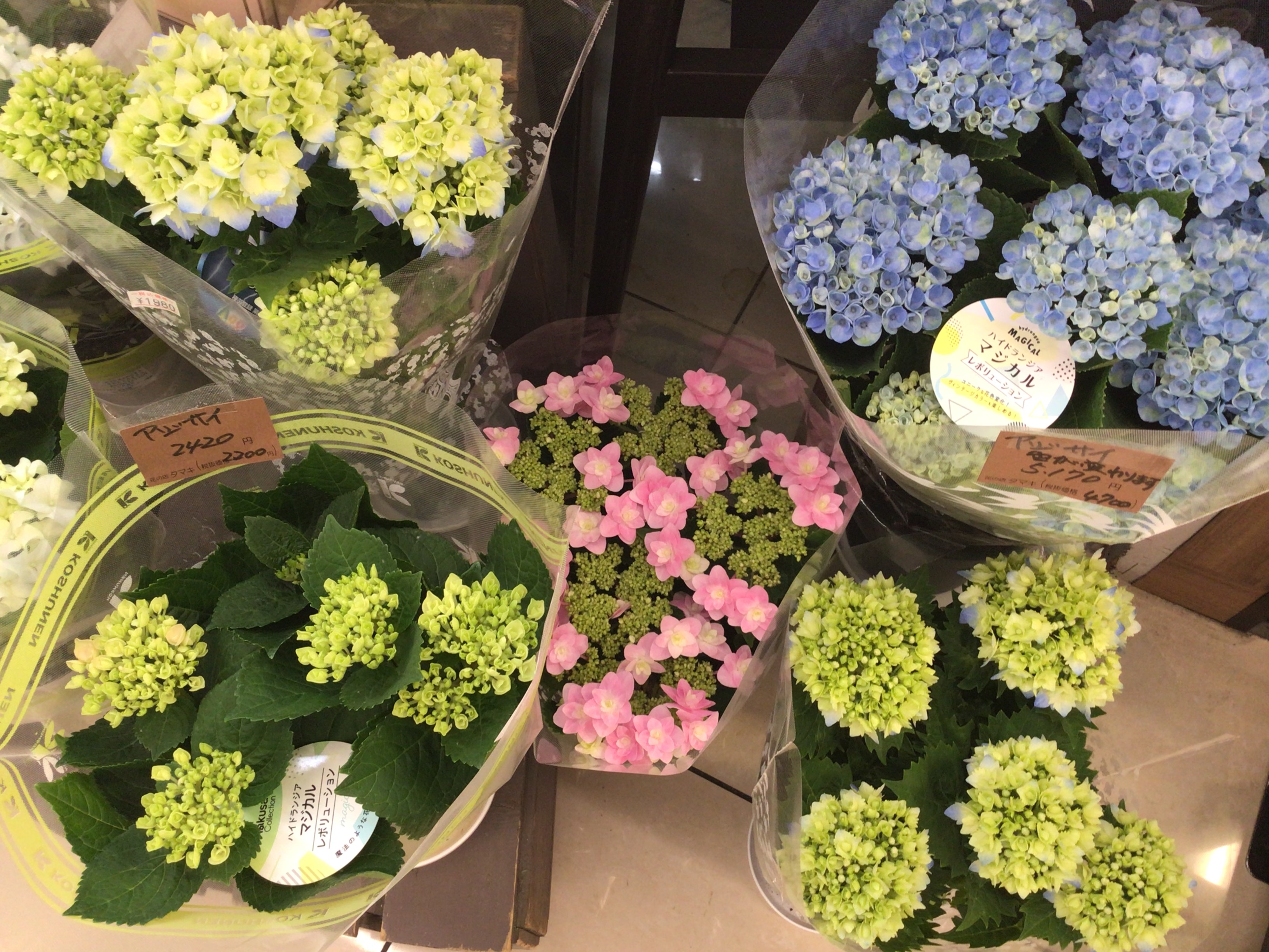 みわ店です😊