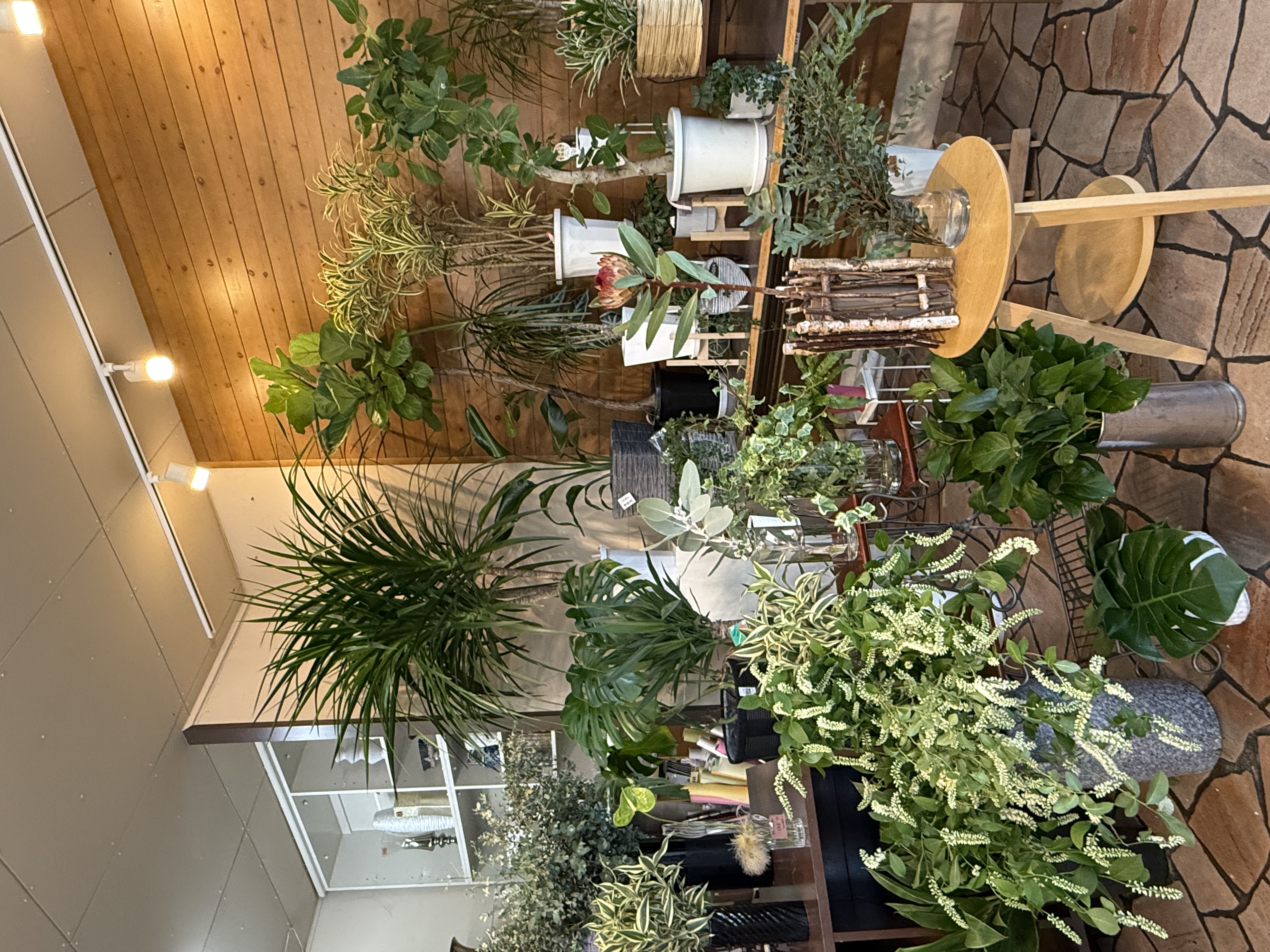 緑で癒しを🌲