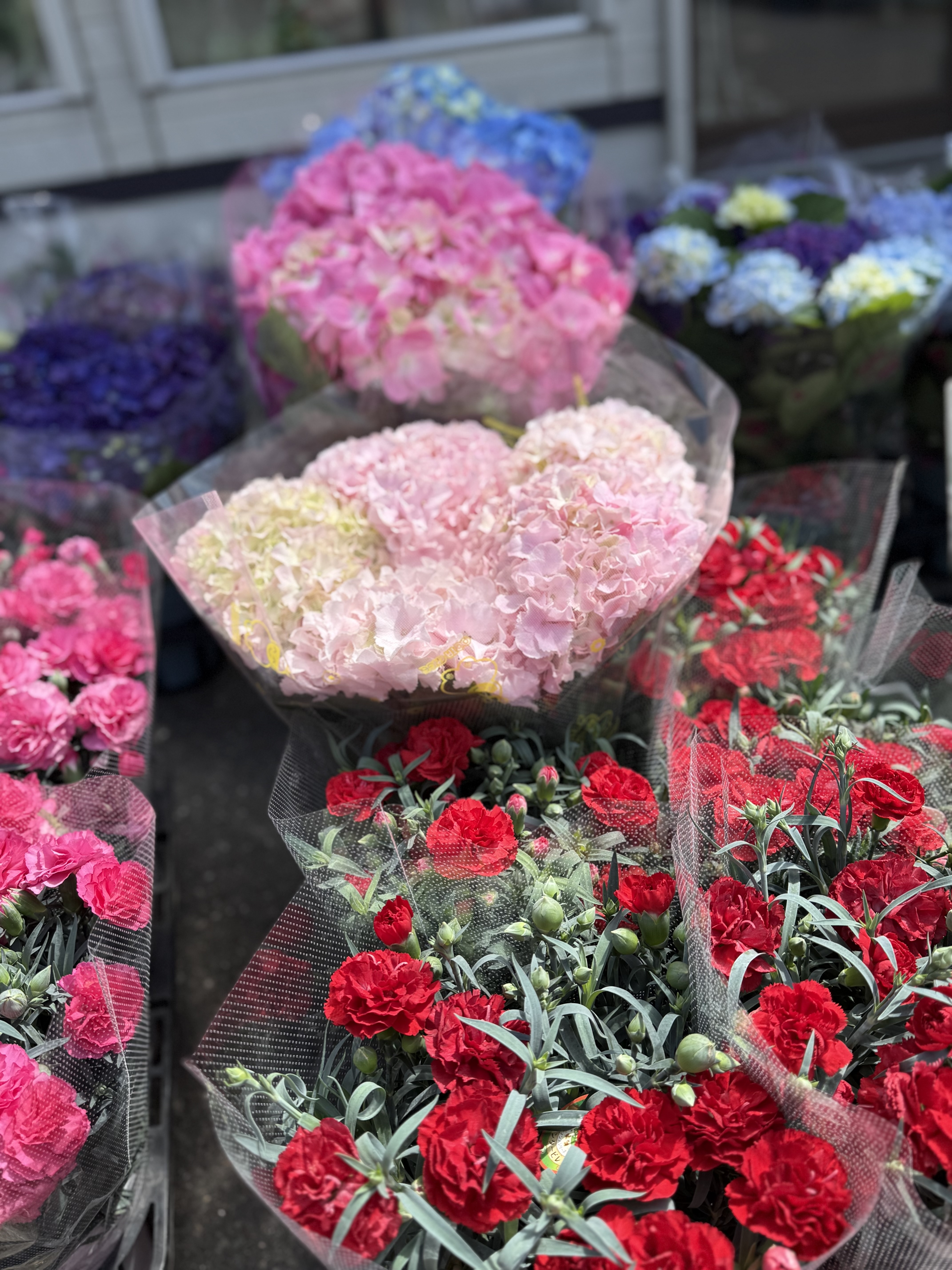 鉢物入荷 母の日まで4日^ ^