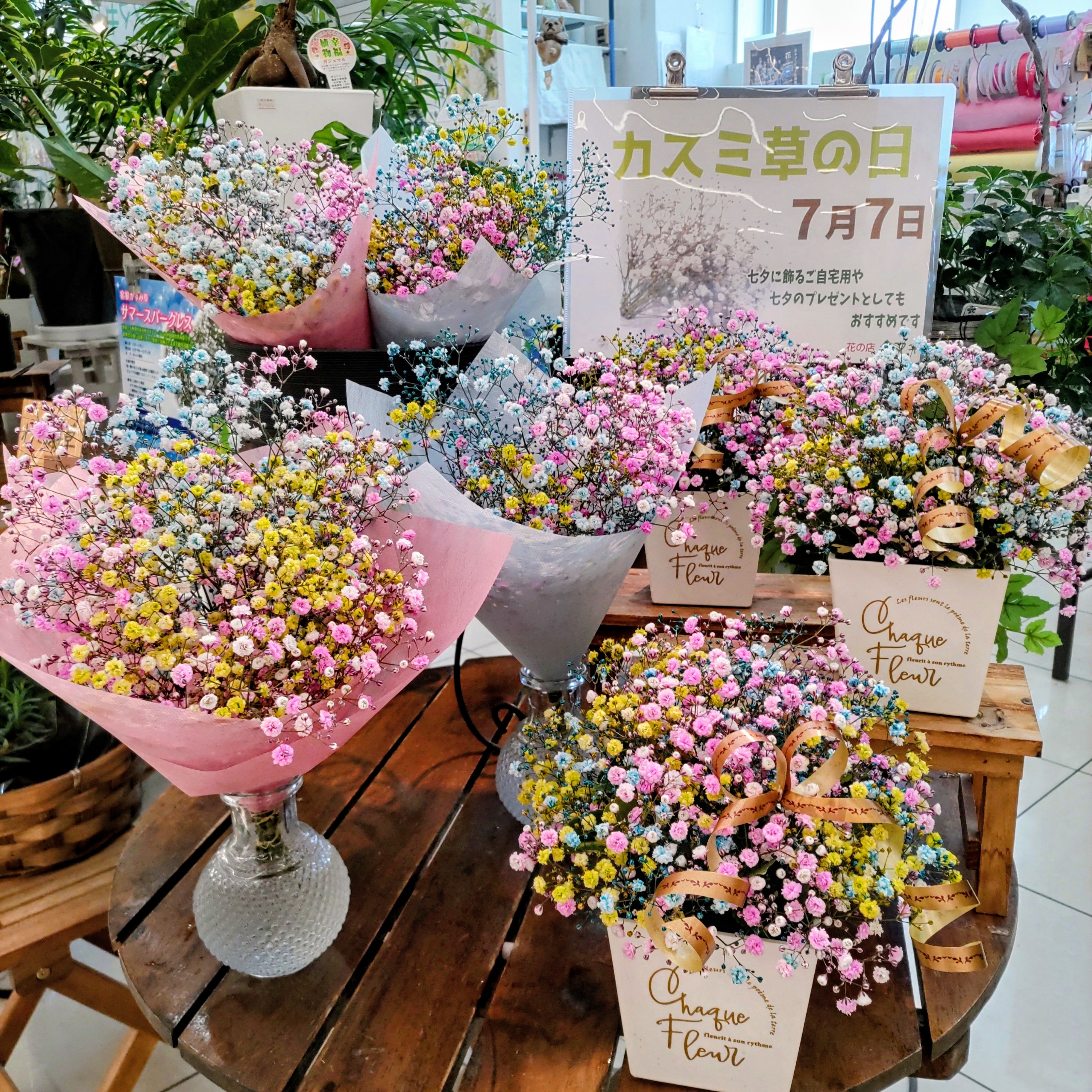 かすみ草の日✨コープみわ店です🌸