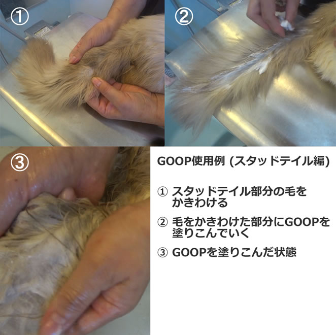 ★ Groomer’s GOOP De-Greaser How to Use ★