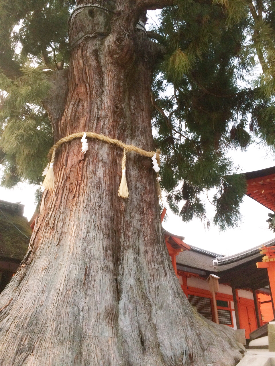 【Blog】春日大社
