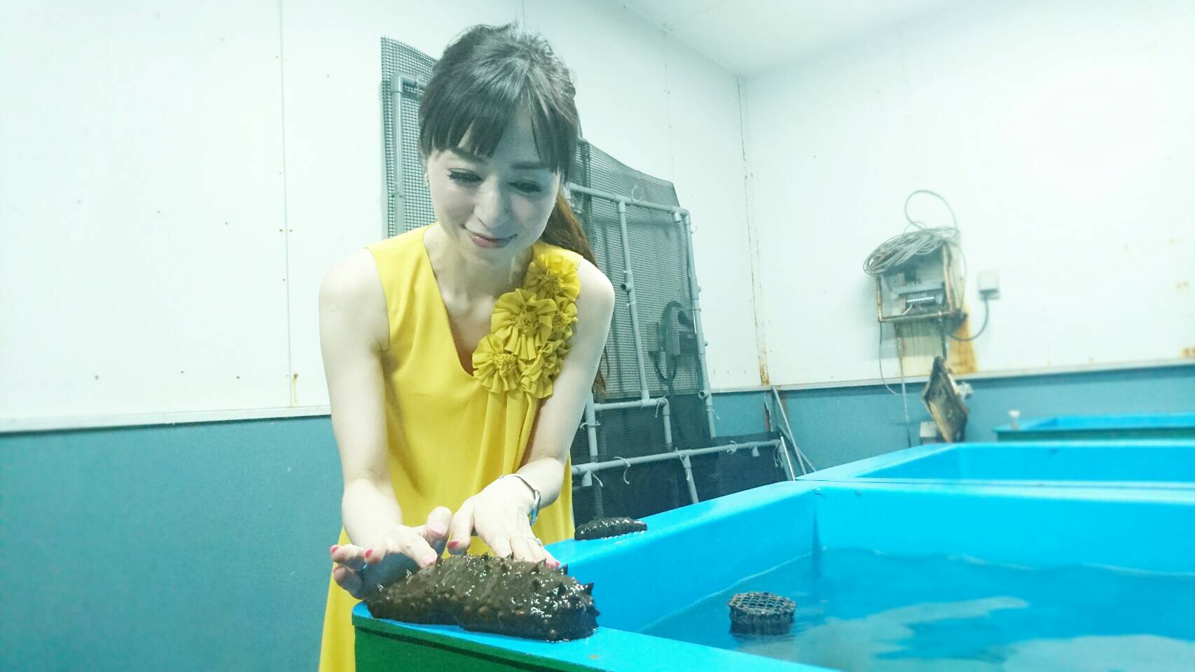 【Blog】なまこの美容液