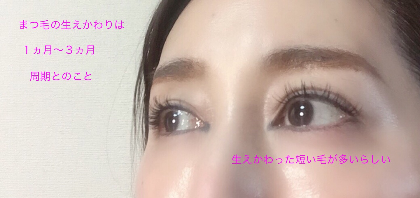 【Blog】まつ毛の生えかわり