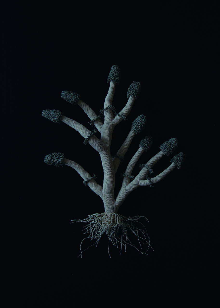 一夜の森（備忘録）