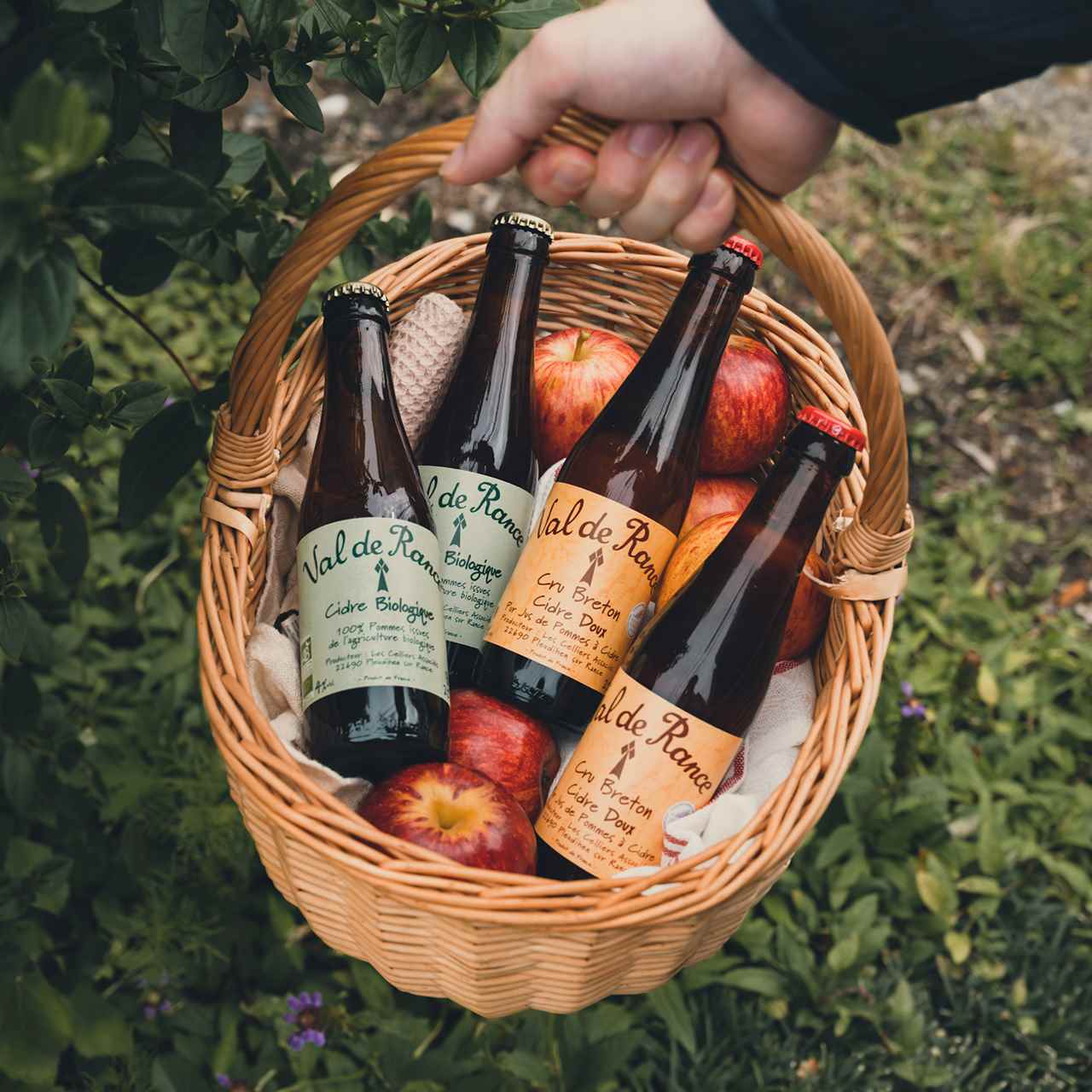 送料無料🍎ル ブルターニュの夏ギフト